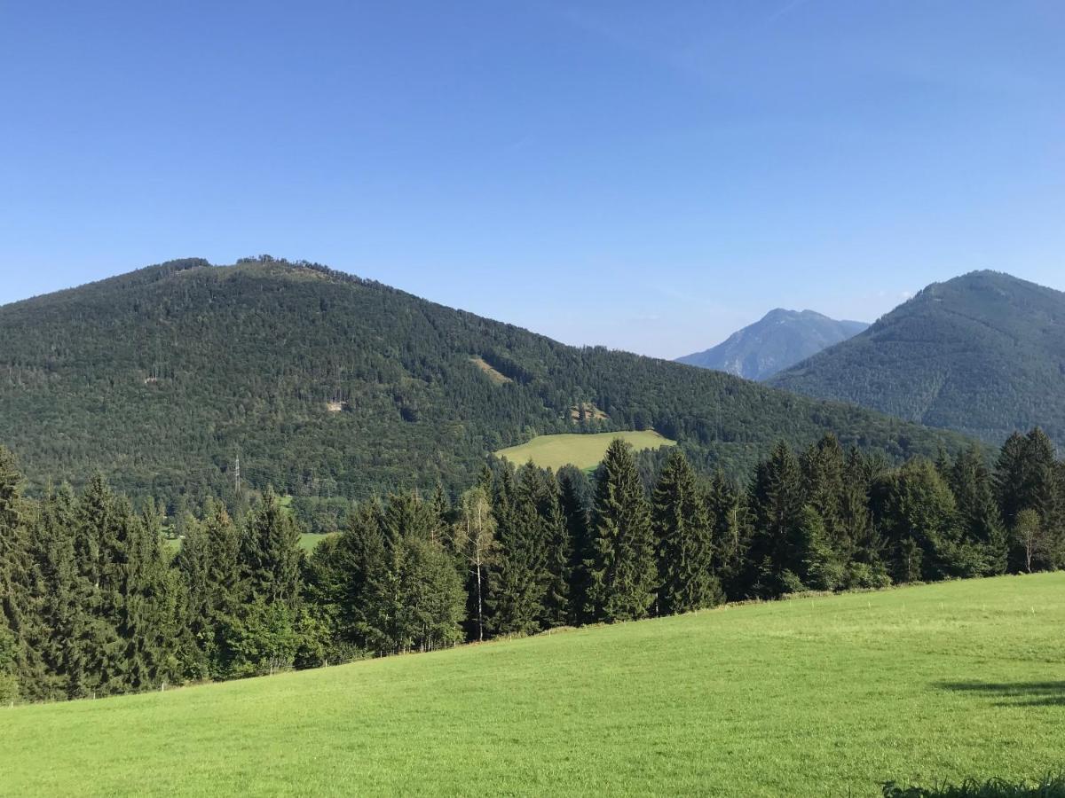 Gasthuis Gasthof Mitteregg *